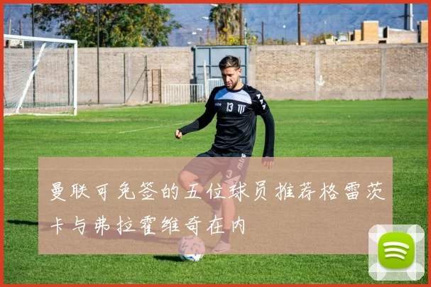 曼联可免签的五位球员推荐格雷茨卡与弗拉霍维奇在内